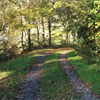 A trail in West Virginia's woods